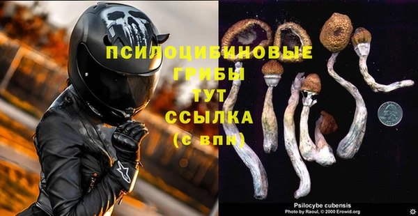 эйфоретик Алексеевка